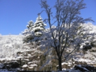 雪景色20.3.5 006.jpg